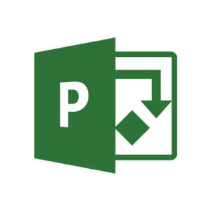 Microsoft project المستوى الأول