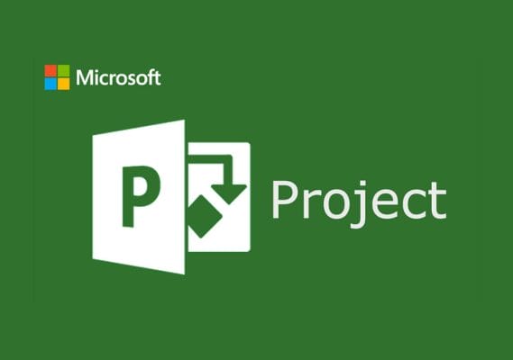 MS Project مستوى متقدم