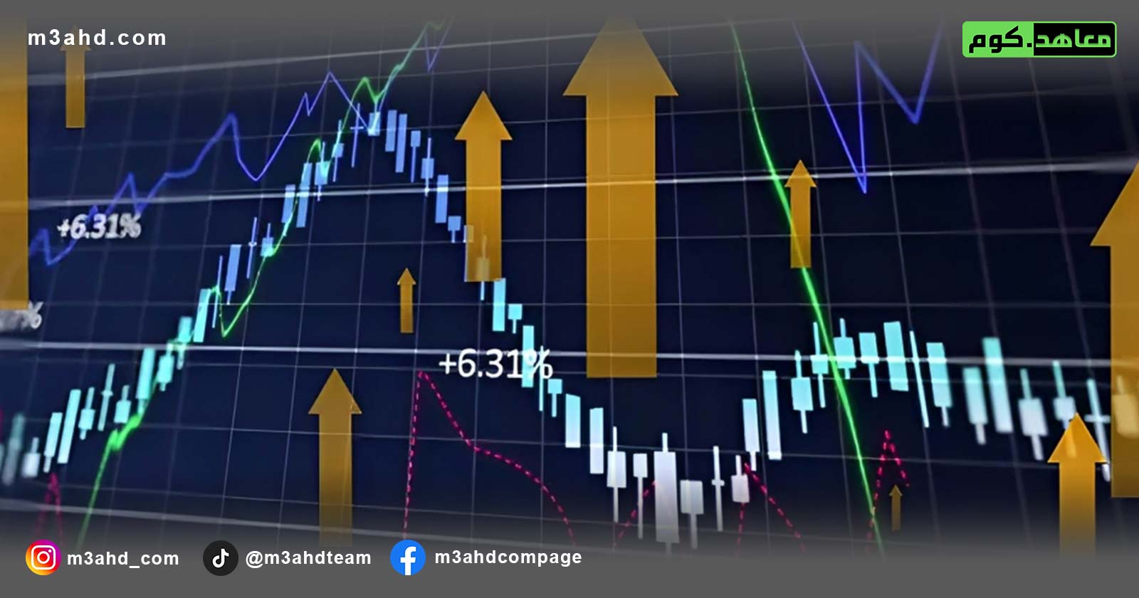 دورة مبادئ الاقتصاد